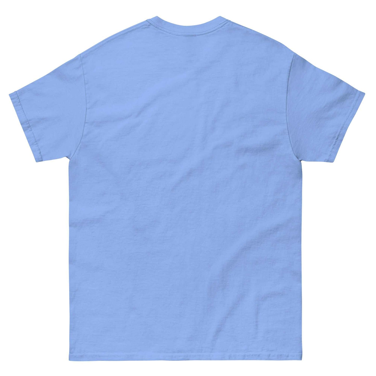 Prayer Printed T-Shirt The Lord's Strength Inspirational Tee - light blue